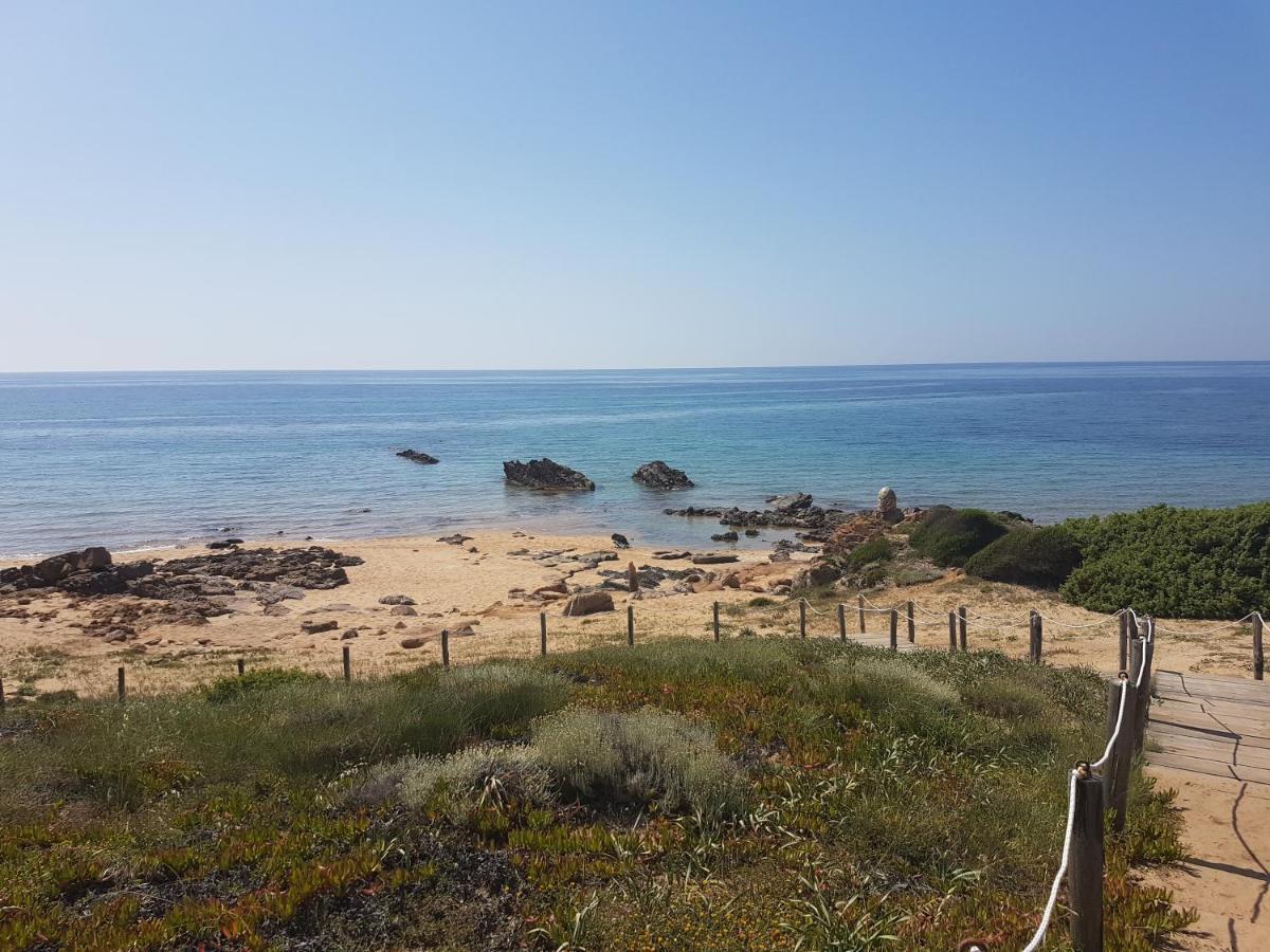 Appartement Terrazze Al Mare à Torre dei Corsari Extérieur photo